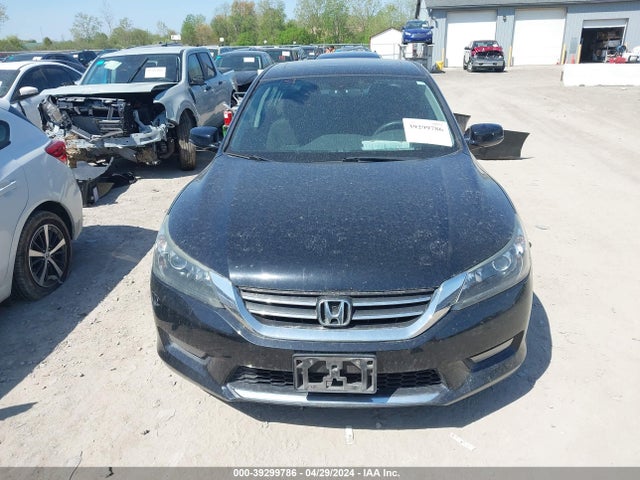 Honda ACCORD EX 2014 1HGCR2F76EA250977 Image 13