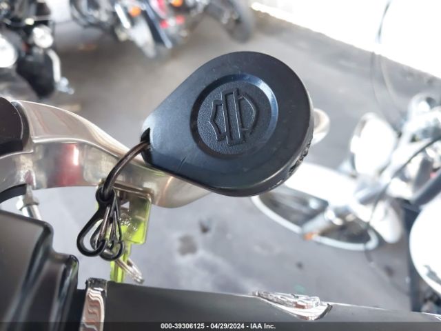 2018 HARLEY-DAVIDSON XL883 1HD4CR210JC422075 Photo 10