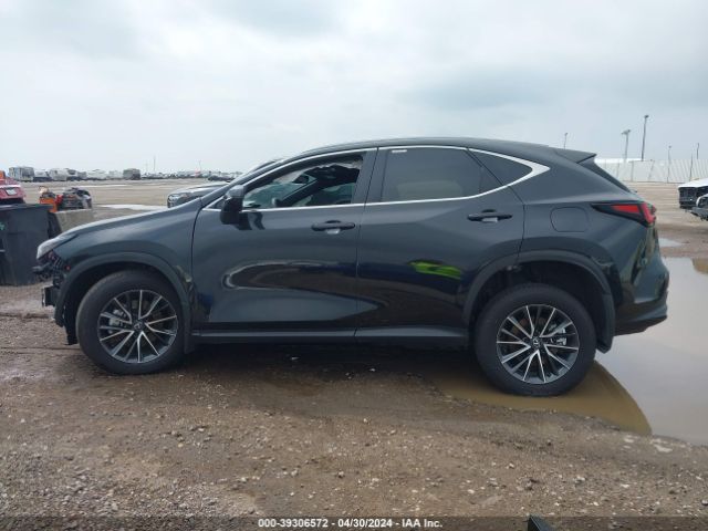 2T2GDCAZXRC007019 Lexus Nx 250 Premium