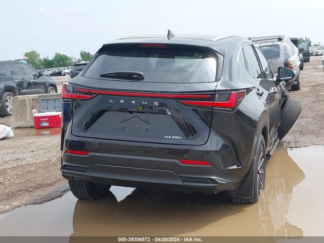 2T2GDCAZXRC007019 Lexus Nx 250 Premium