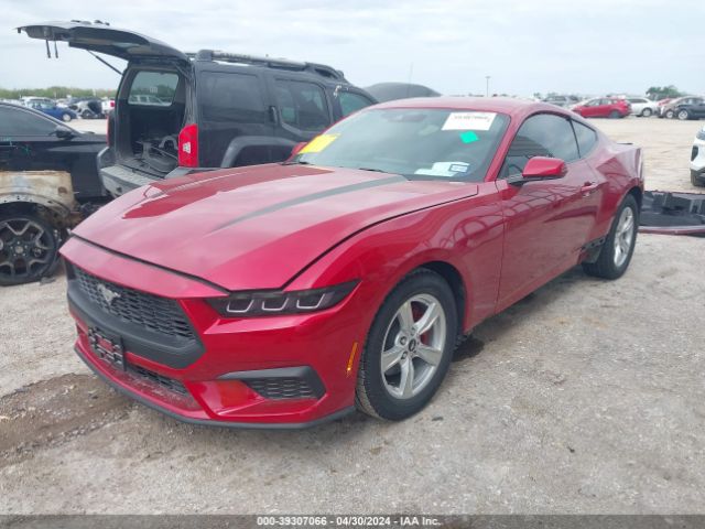 2024 FORD MUSTANG 1FA6P8TH8R5118681 Photo 1