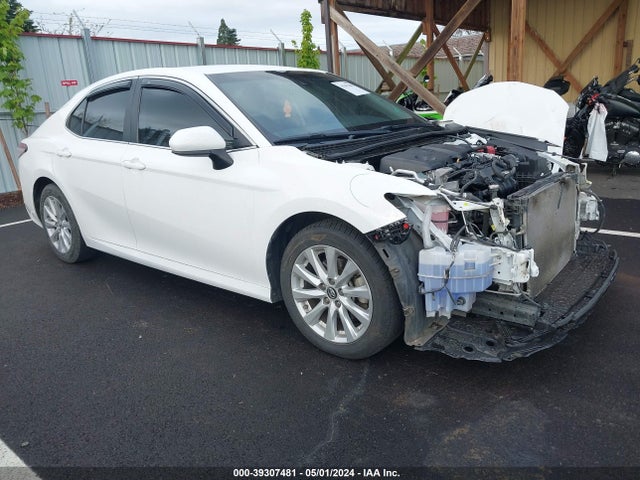 Toyota CAMRY LE 2019 4T1B11HK1KU228243 головне зображення