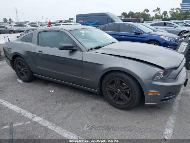 1ZVBP8AM6E5321519 auction archive image