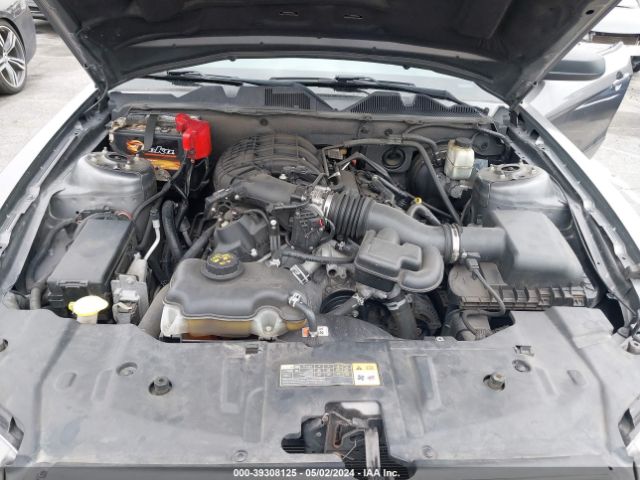 1ZVBP8AM6E5321519 Ford Mustang V6