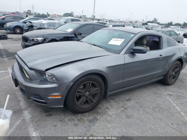 1ZVBP8AM6E5321519 Ford Mustang V6