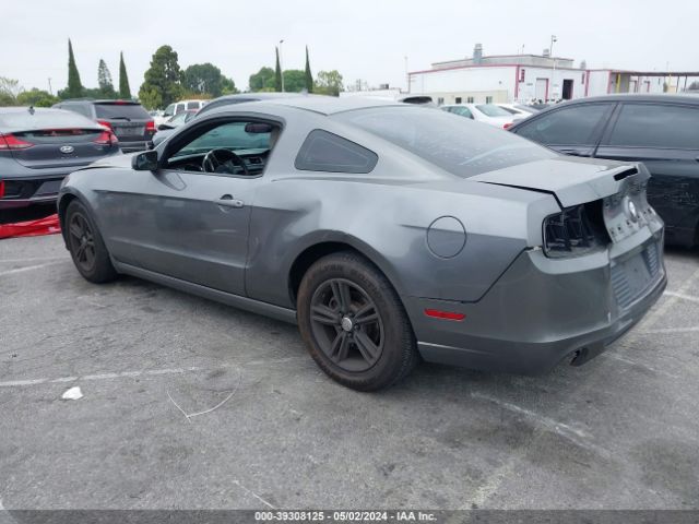 1ZVBP8AM6E5321519 Ford Mustang V6