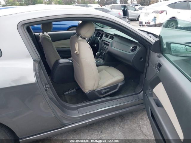 1ZVBP8AM6E5321519 Ford Mustang V6