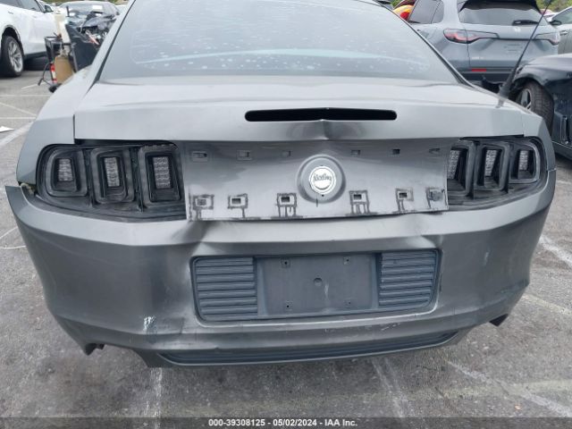 1ZVBP8AM6E5321519 Ford Mustang V6