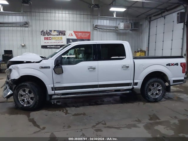 Ford F-150 Xlt 2015 1FTEW1EP8FKD59223 Image 14