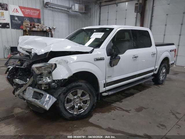Ford F-150 Xlt 2015 1FTEW1EP8FKD59223 Image 2