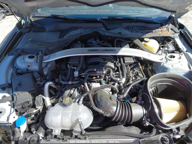 Ford Mustang Mach 1 Fastback 2023 1FA6P8R07P5501347 Image 10