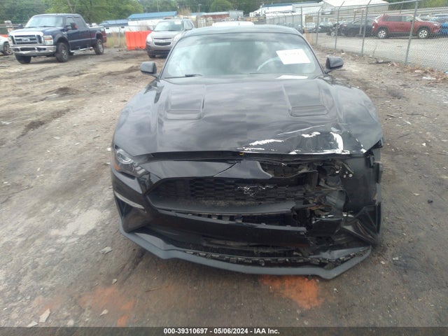 Ford Mustang Ecoboost Fastback 2020 1FA6P8TH6L5190227 Image 12
