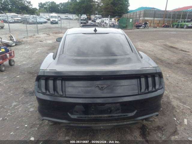 Ford Mustang Ecoboost Fastback 2020 1FA6P8TH6L5190227 Image 16