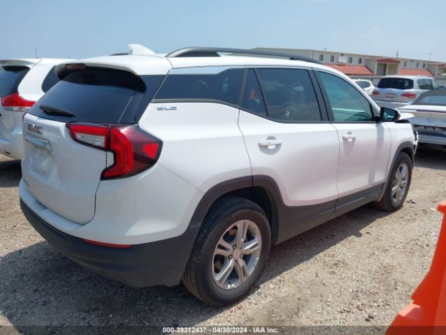3GKALMEG5PL243863 GMC Terrain Fwd Sle