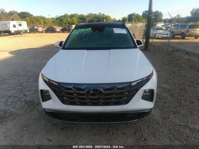 Hyundai Tucson Limited 2023 5NMJE3AEXPH201464 Image 12