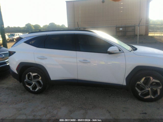 Hyundai Tucson Limited 2023 5NMJE3AEXPH201464 Image 13