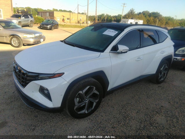 Hyundai Tucson Limited 2023 5NMJE3AEXPH201464 Image 2