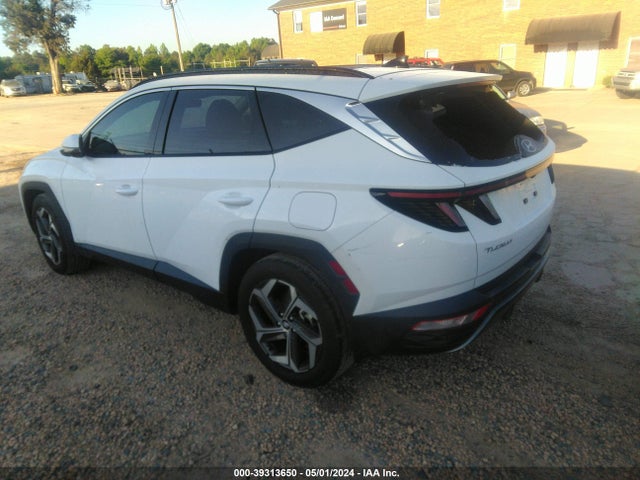 Hyundai Tucson Limited 2023 5NMJE3AEXPH201464 Image 3