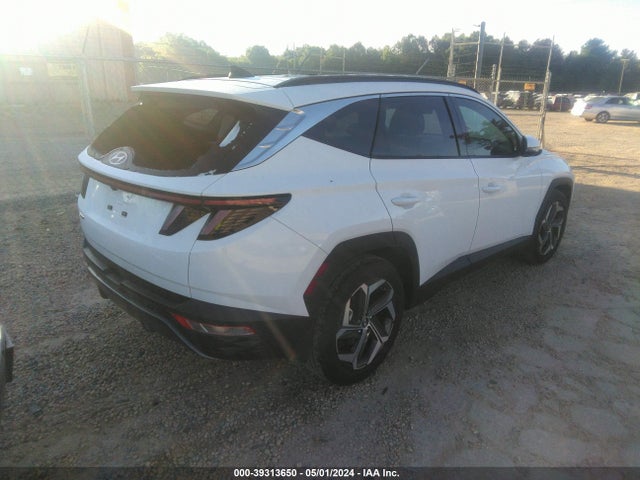 Hyundai Tucson Limited 2023 5NMJE3AEXPH201464 Image 4