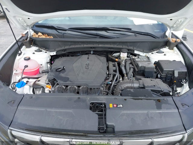 Hyundai Tucson Limited 2024 5NMJE3DE6RH328470 Image 10
