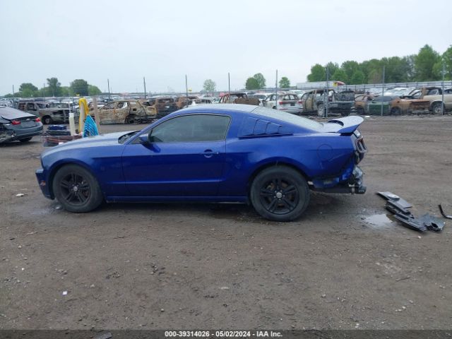 1ZVBP8AM8E5230879 Ford Mustang V6