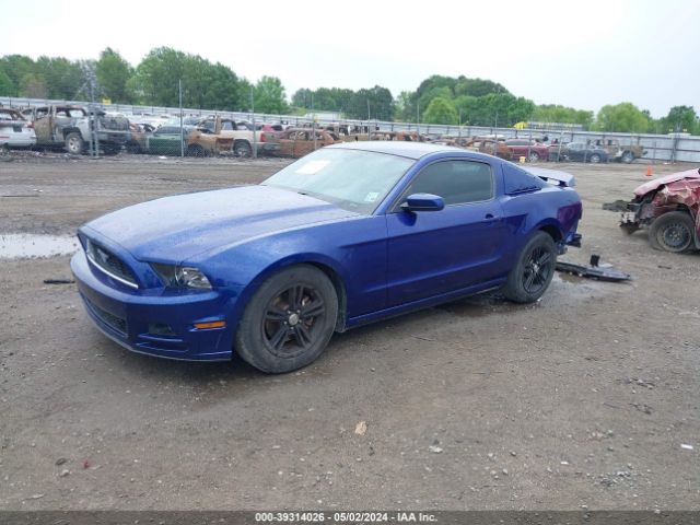 1ZVBP8AM8E5230879 Ford Mustang V6