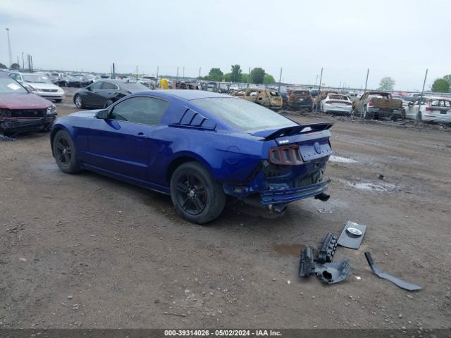 1ZVBP8AM8E5230879 Ford Mustang V6