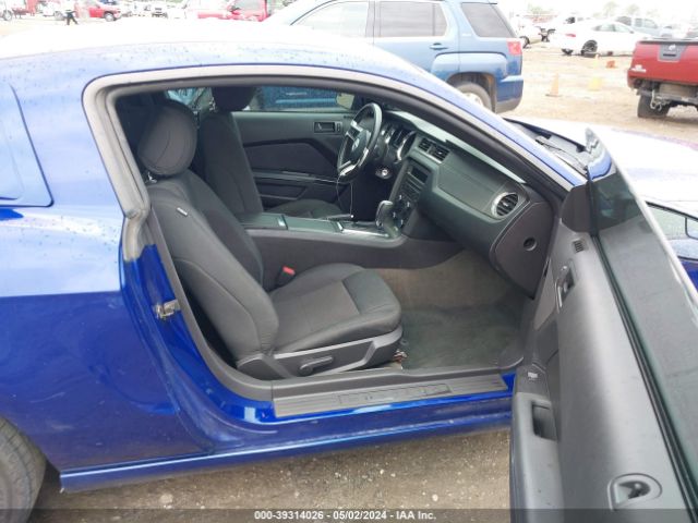 1ZVBP8AM8E5230879 Ford Mustang V6