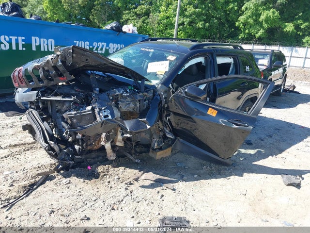 1C4PJMCB9GW202987 Jeep Cherokee Altitude