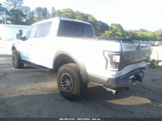 Ford F-150 Raptor 2020 1FTFW1RG8LFA05429 Image 3