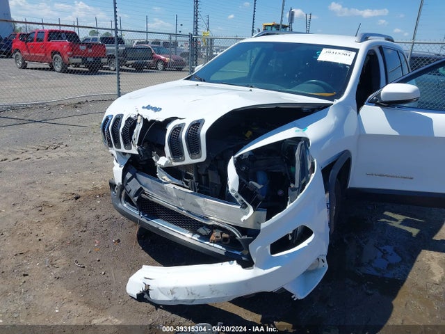 Jeep Cherokee Limited 2015 1C4PJMDS6FW654831 Image 6