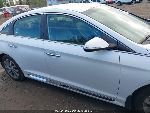 Hyundai Sonata Sport 2016 5NPE34AF3GH290030 Image 13