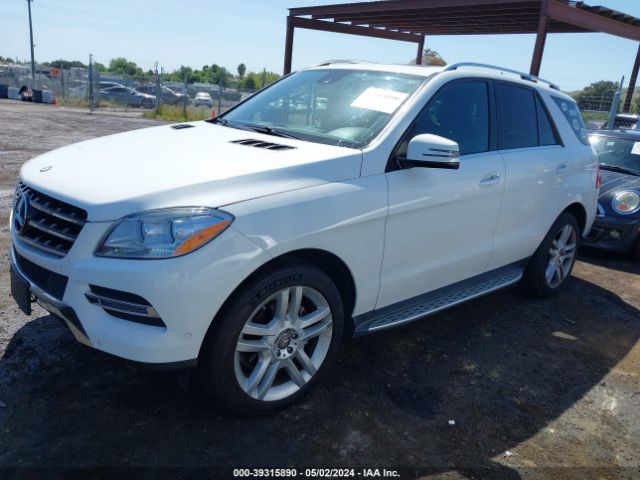 4JGDA5JB9FA531479 Mercedes-Benz ML 350