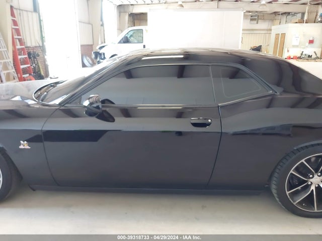Dodge Challenger R/t Scat Pack 2016 2C3CDZFJ3GH271800 Image 14