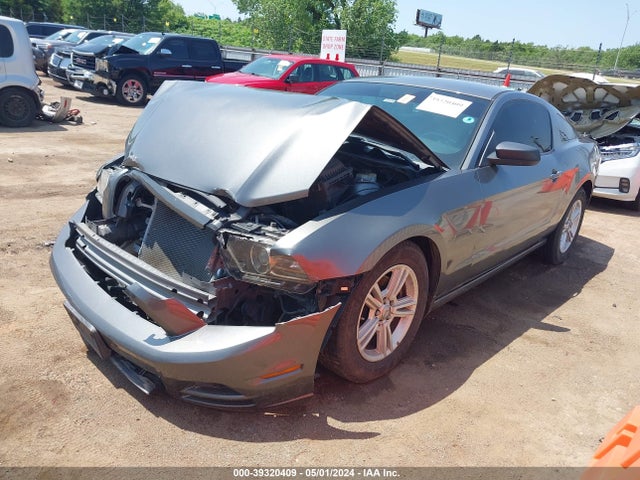 Ford Mustang V6 2014 1ZVBP8AM7E5311632 Image 2
