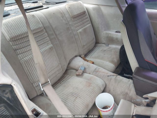 1981 PONTIAC FIREBIRD 1G2AW87W7BN113546 Photo 7