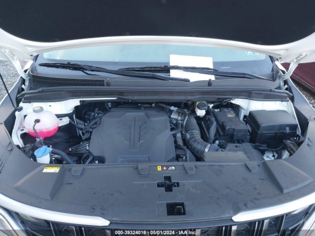 KNDNC5H3XR6390799 KIA Carnival Mpv Ex