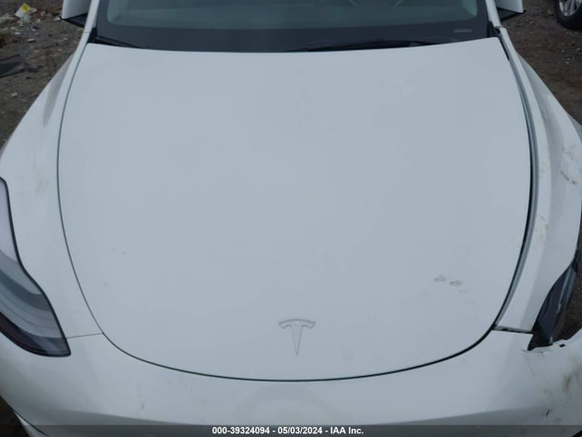 Tesla Model Y 2023 7SAYGDEE9PF826953 Image 10