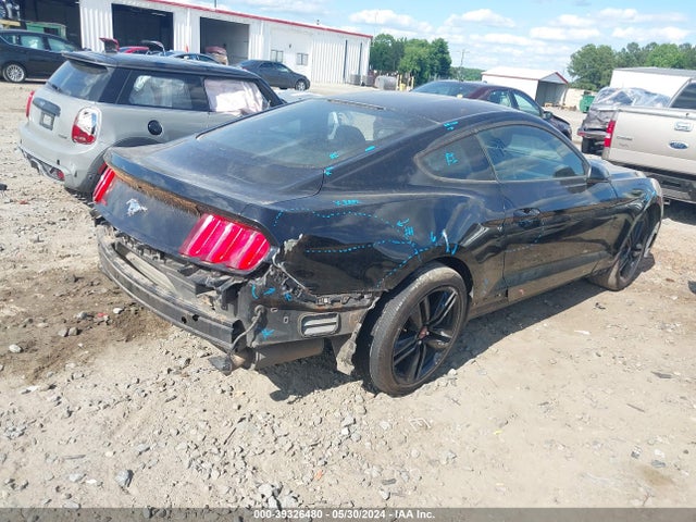 Ford Mustang Ecoboost 2016 1FA6P8TH5G5261889 Image 4