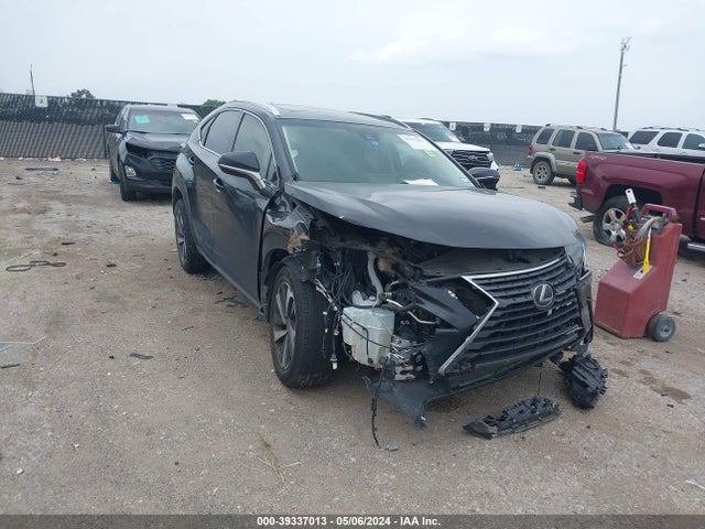 Lexus NX 300 2019 JTJYARBZ8K2124697 Image 1