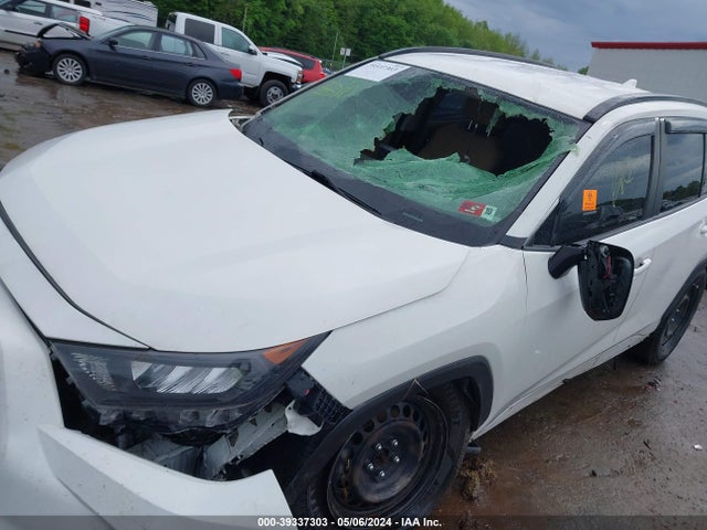 Toyota RAV4 LE 2019 JTMF1RFV5KD008721 Image 6