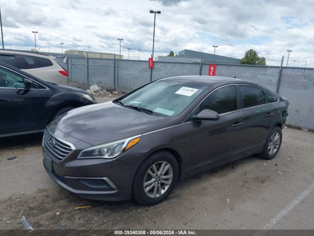 5NPE24AF6GH274942 Hyundai SONATA SE