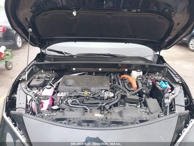 Toyota Venza Xle 2023 JTEAAAAH1PJ121163 Image 10