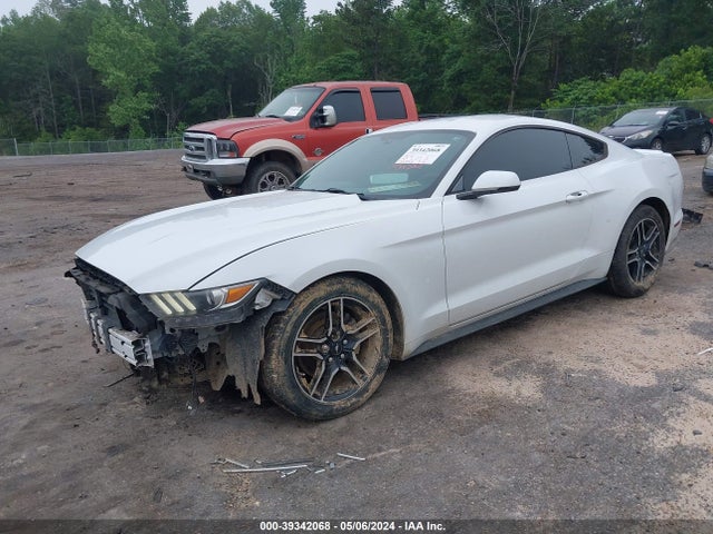 Ford Mustang Ecoboost 2015 1FA6P8THXF5314018 Image 2