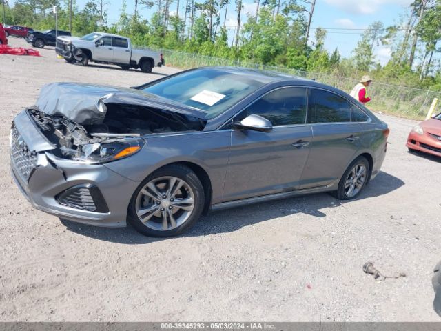 5NPE34AF5JH704979 Hyundai Sonata Sport+