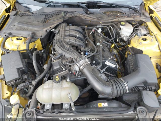 1FA6P8AM4H5286185 Ford Mustang V6
