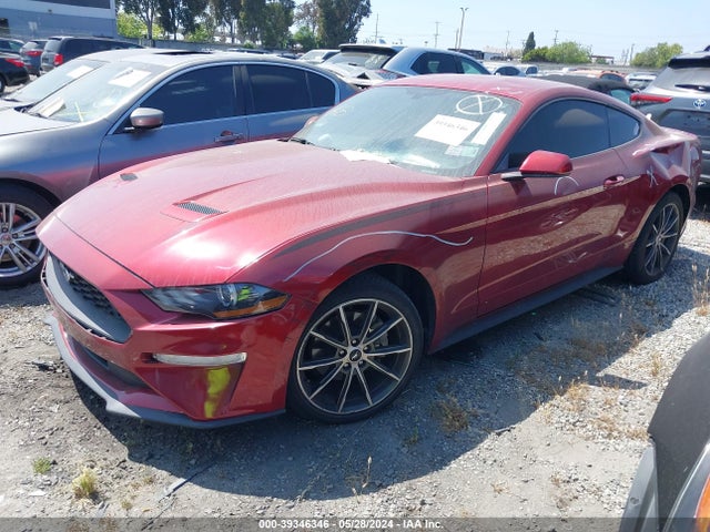 Ford Mustang Ecoboost 2018 1FA6P8TH2J5184924 Image 2