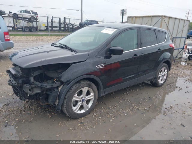 Ford ESCAPE SE 2016 1FMCU0GXXGUA21585 Image 2