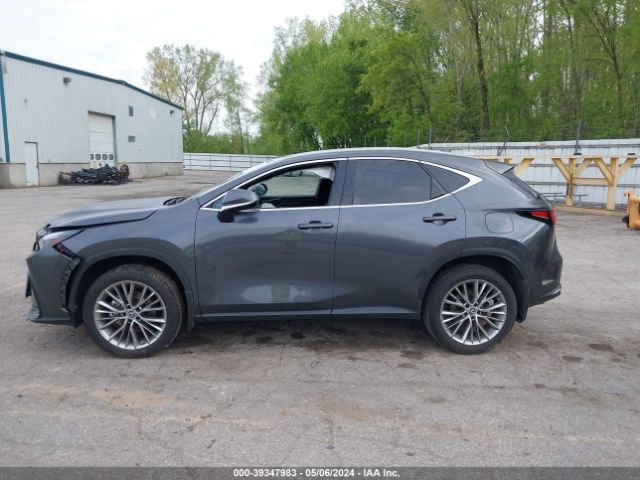 2T2GKCEZ0NC008156 Lexus Nx 350h Premium