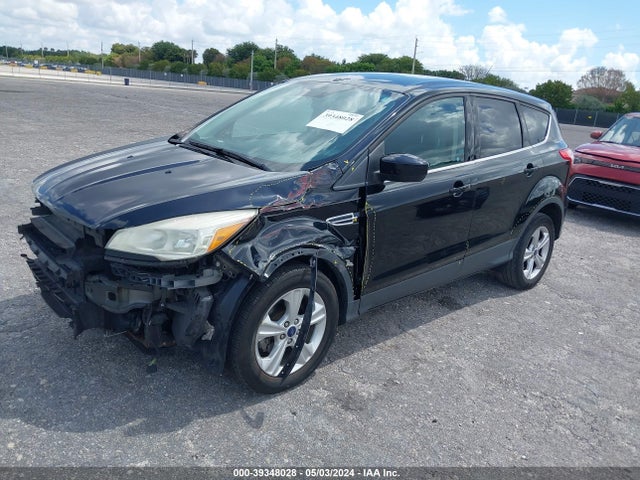 Ford ESCAPE SE 2016 1FMCU0GX8GUC13734 Image 12